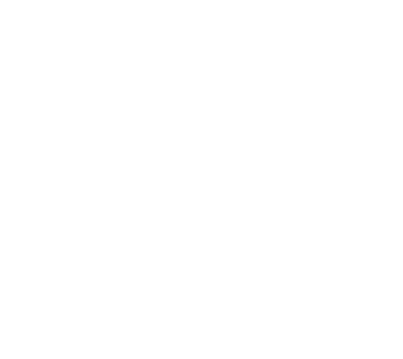 vector